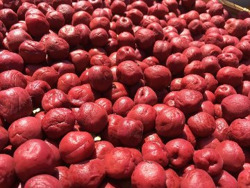 バリ伝統製法の美味しい天日塩 TEJAKURA あらじおの画像