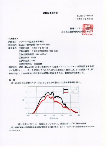 Bhado 電磁波対策 ペンダントの画像