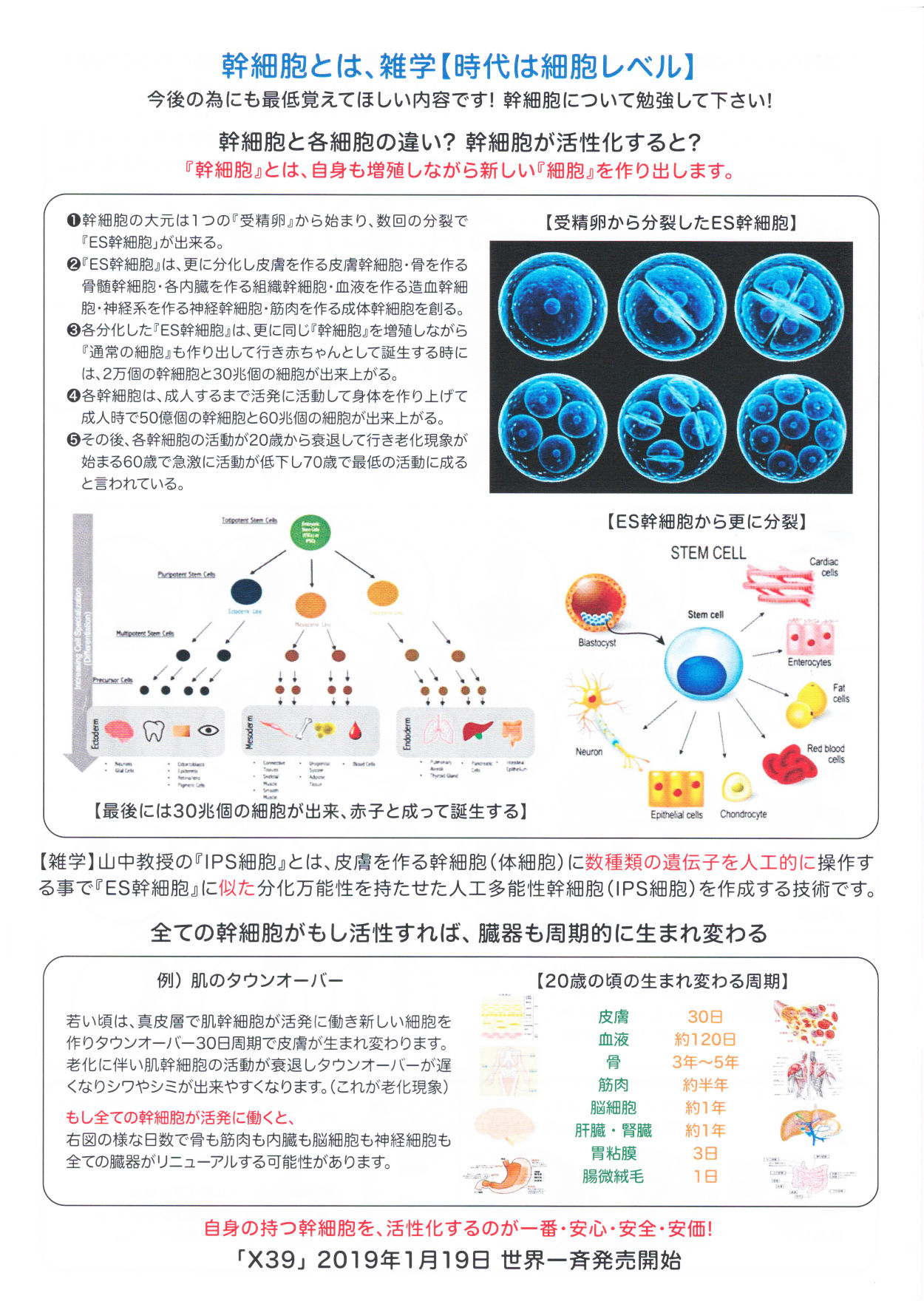 周波数治療 LIFEWAVE シリーズの画像