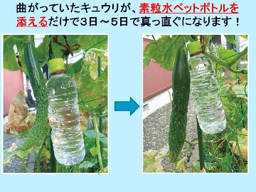 発酵する水 素粒水 浄水器 ワンウォーターECOの画像