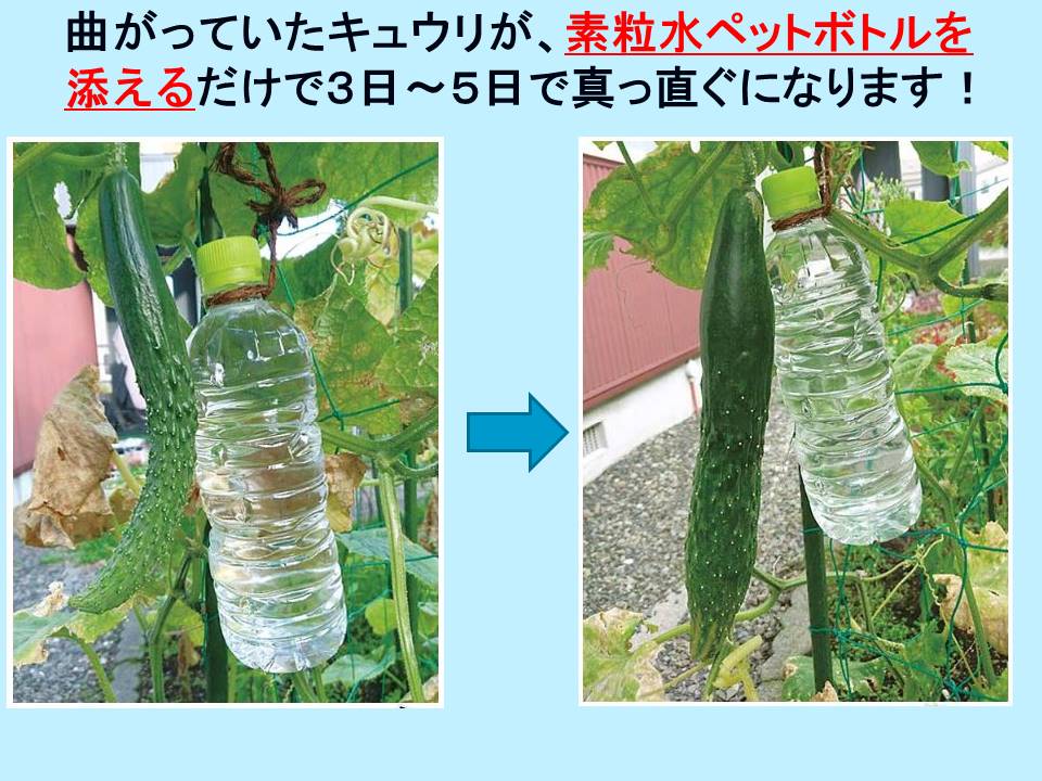 発酵する水 素粒水 浄水シャワー ウォーターセラピィーの画像