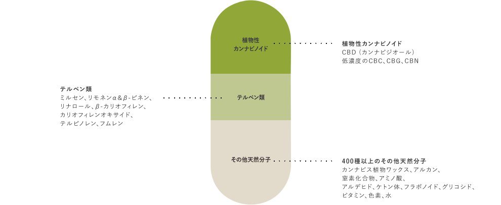 CBD ENDOCA ヘンプオイル カプセル＆ドロップ シリーズの画像