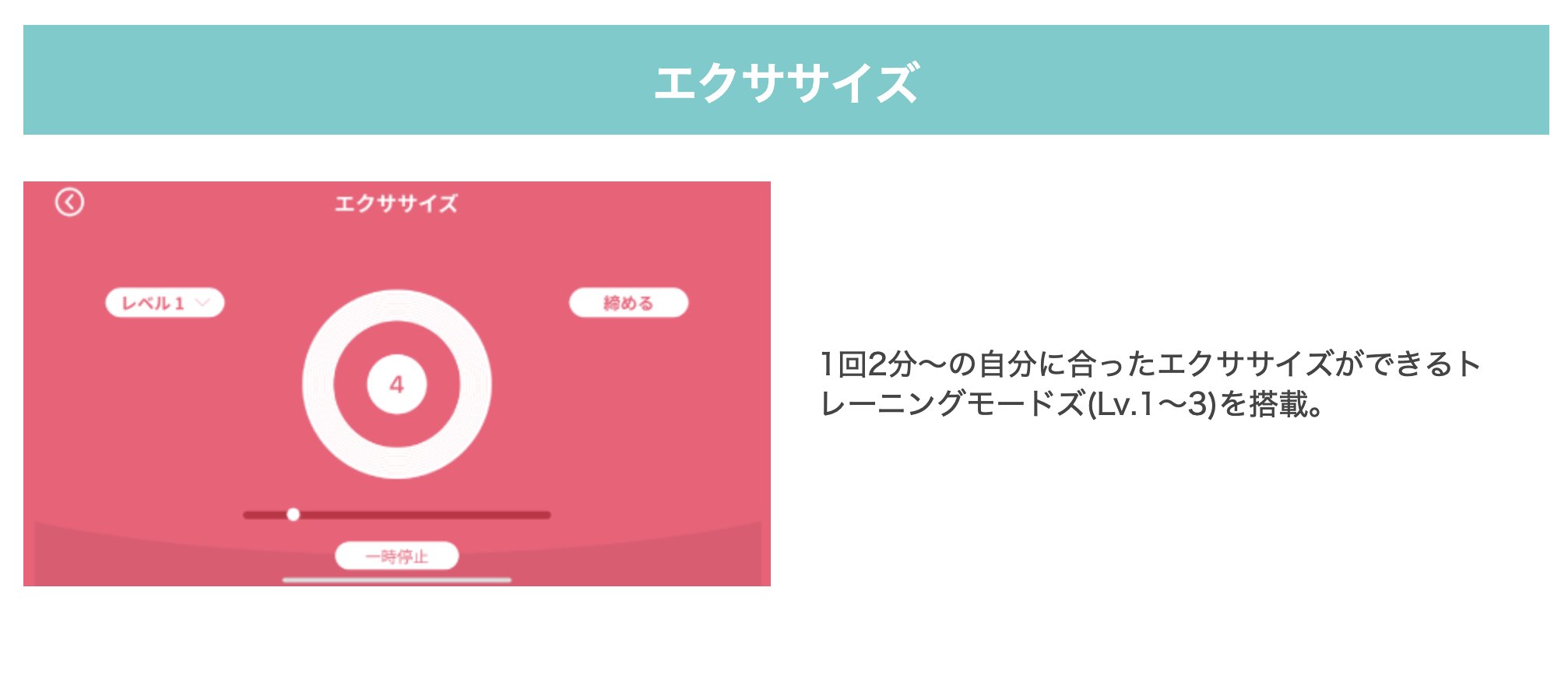 eKegel Liteの画像