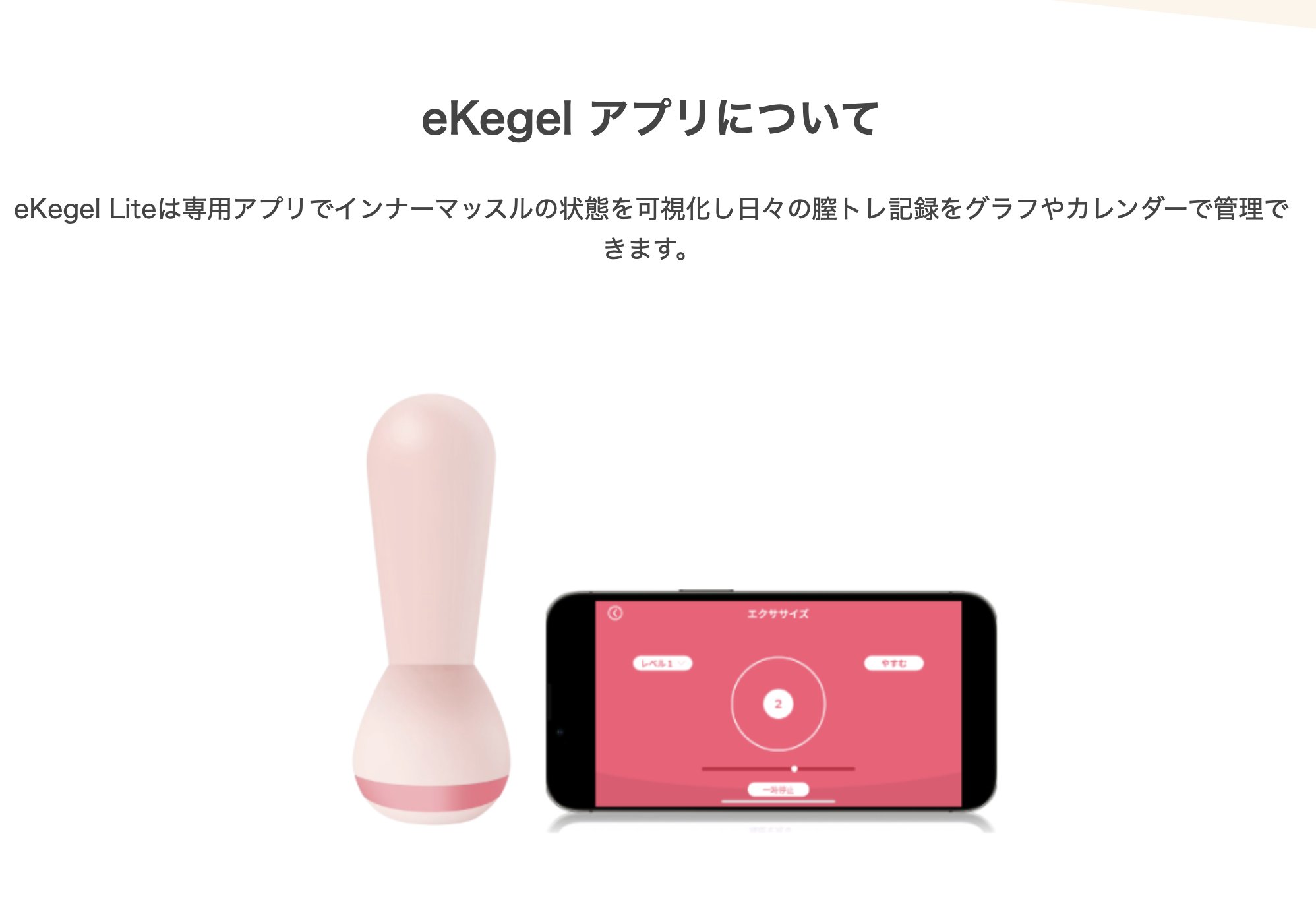 eKegel Liteの画像