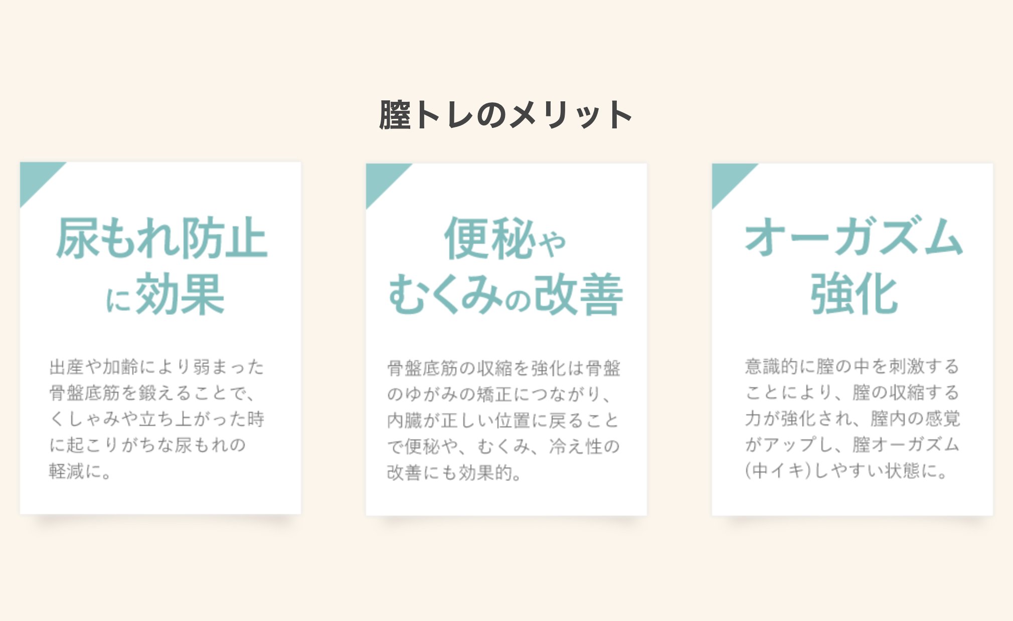 eKegel Liteの画像