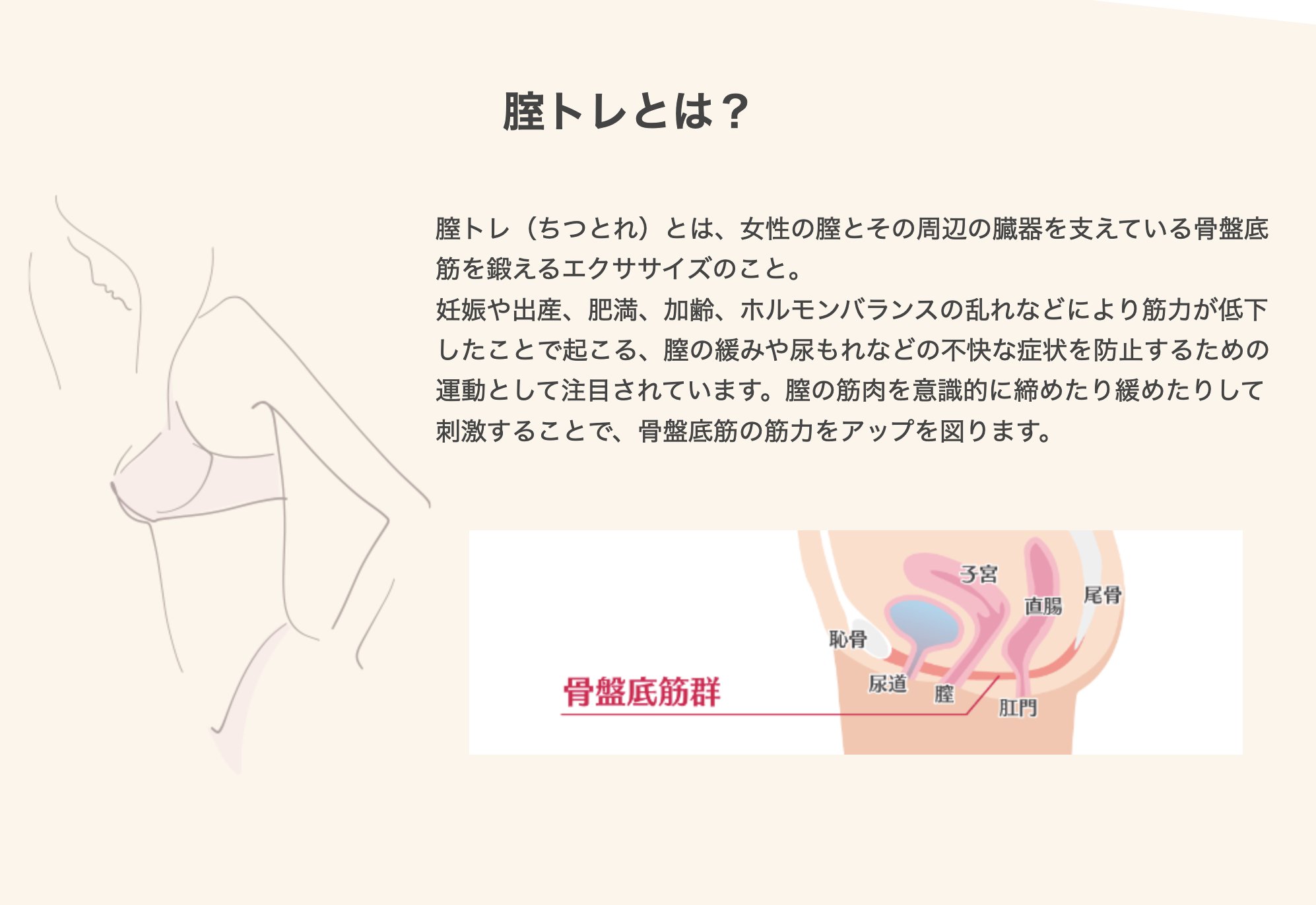 eKegel Liteの画像