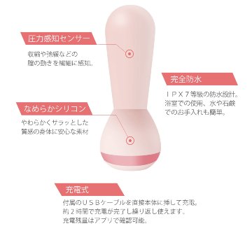 eKegel Liteの画像