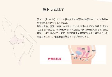 eKegel Liteの画像
