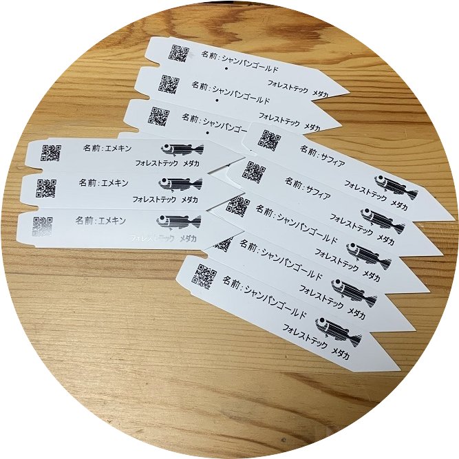 金リボン　ポット用タグ（名札）用　リボン 　5巻　の画像