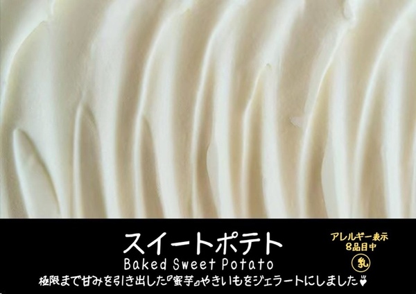 【11月～1月】冬の選べる！ジェラートセット（１２個入）の画像