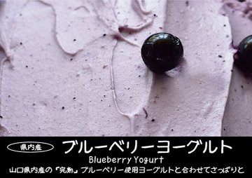 【6月～8月】夏の選べる！ジェラートセット（１８個入）の画像