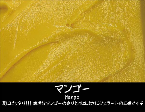【お中元】【夏ギフト】サマージェラートセット（5個入）の画像