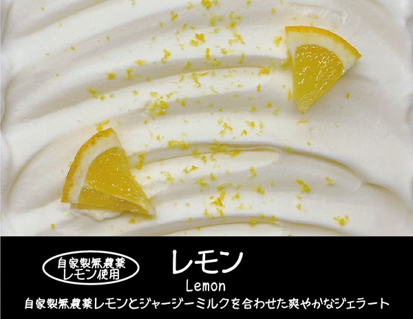 【お中元】【夏ギフト】サマージェラートセット（5個入）の画像