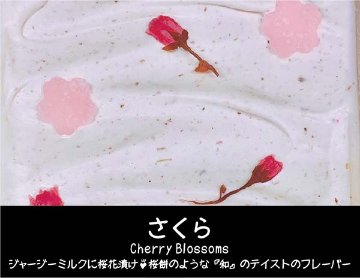 【春ギフト】春のおすすめジェラートセット（９個入）画像