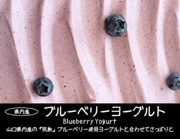 【6月～8月】夏の選べる！ジェラートセット（６個入）の画像