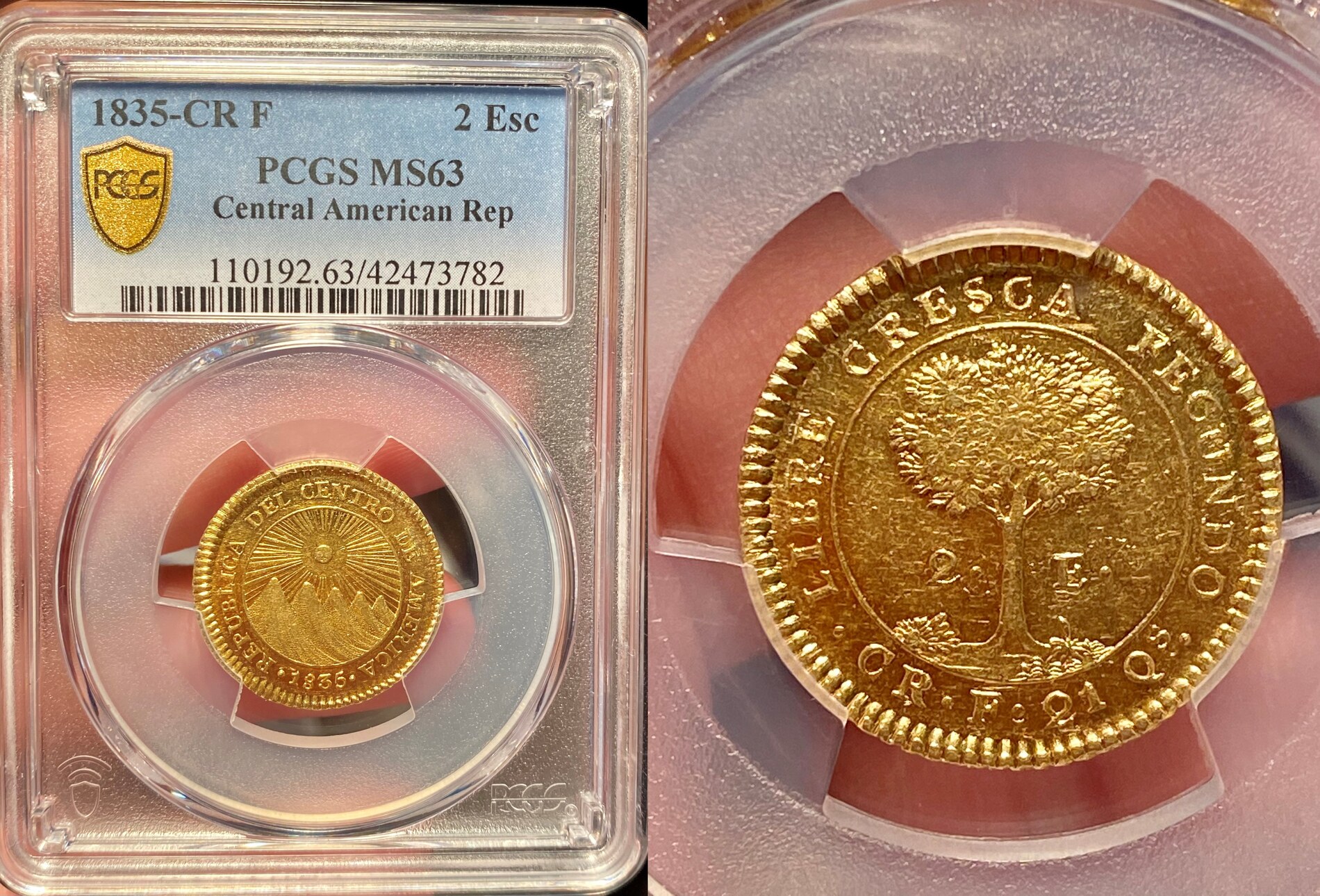 中央アメリカ共和国1835年2エスクード金貨PCGSMS63画像
