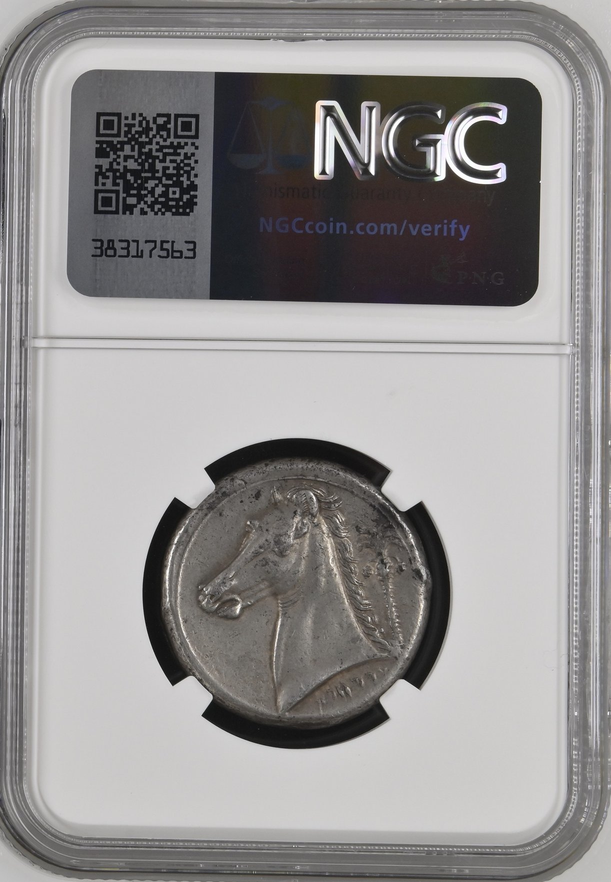 古代ギリシャ シシリー  シクロプニック紀元前320-300年頃 テトラドラクマ NGC XF 5/5 4/5Fine Styleの画像