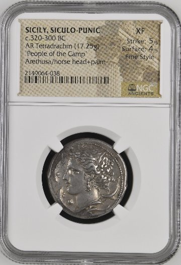 古代ギリシャ シシリー  シクロプニック紀元前320-300年頃 テトラドラクマ NGC XF 5/5 4/5Fine Styleの画像