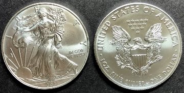 アメリカ2021年アメリカンイーグル1オンス銀貨100枚セット画像