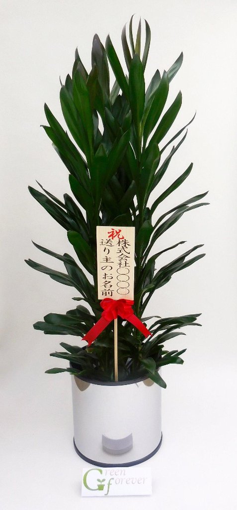 グローカルの画像