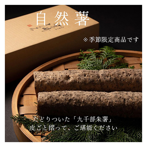 自然薯 ＊季節限定