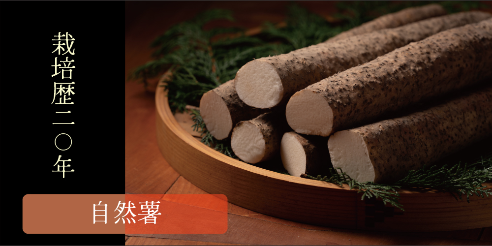自然薯 ＊季節限定