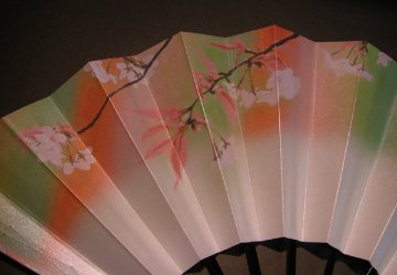 舞扇子　桜の重ね１　七彩　キラ引き画像
