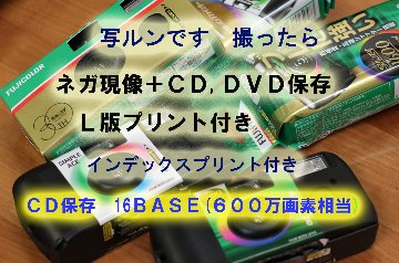 写ルンです　同時プリント　フィルム現像+DVD保存＋L判プリント＋インデックスｐの画像