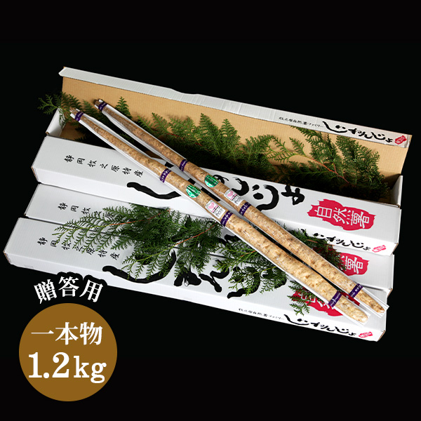 自然薯【1.2kg】の画像