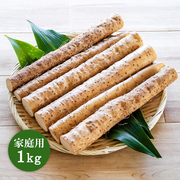 自然薯（家庭用）【1kg】 | 長谷川製茶