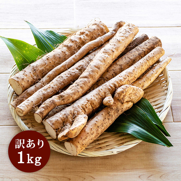 自然薯（訳あり）【1kg】 | 長谷川製茶