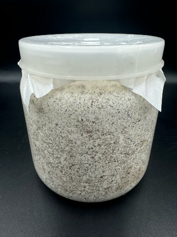 暁シリーズ～晩生ヒラタケ菌床1400ボトル｜飛騨山角