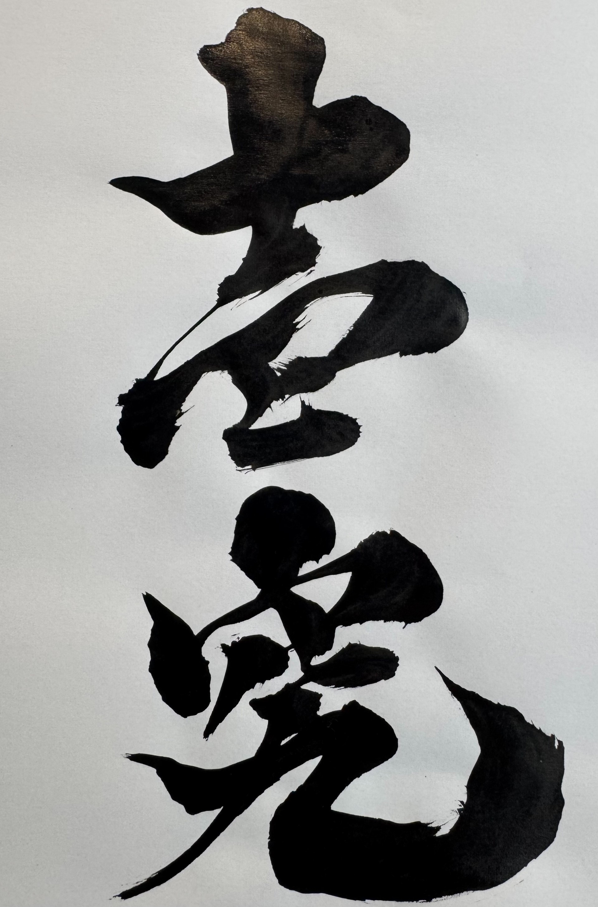 壱究　オオヒラタケ菌床（DMC出町むしお・ｶﾌﾞｸﾜ仲間ひとやすみ）の画像