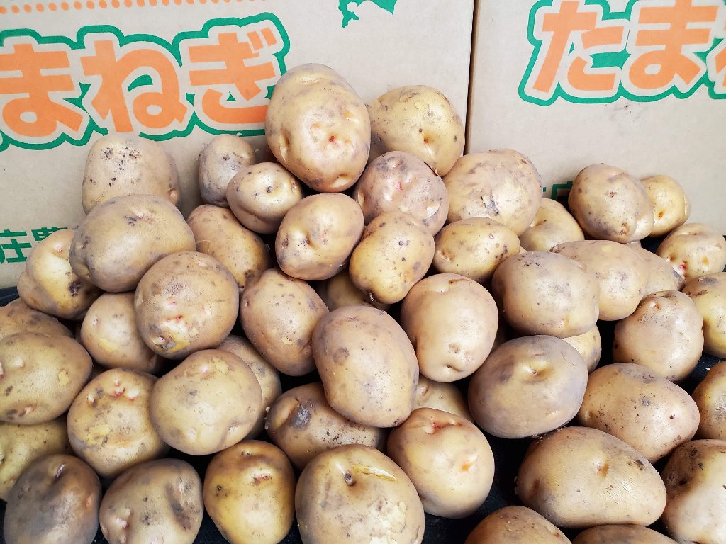 ジャガイモ20キロの画像