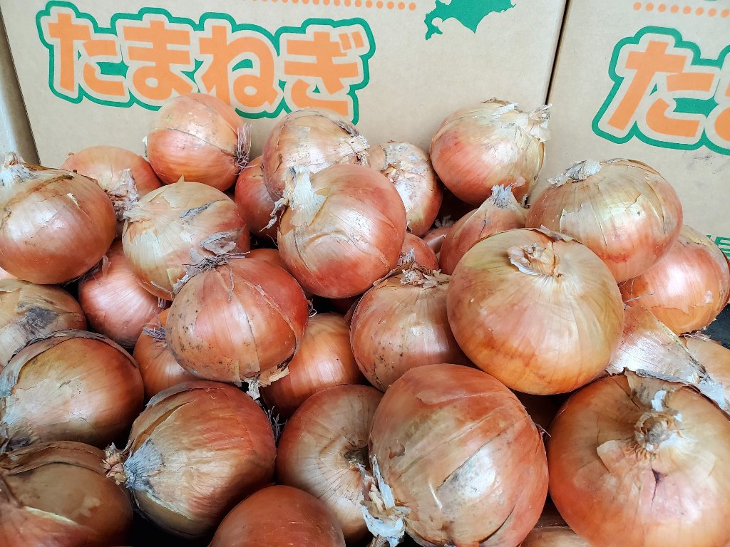 タマネギ20キロの画像