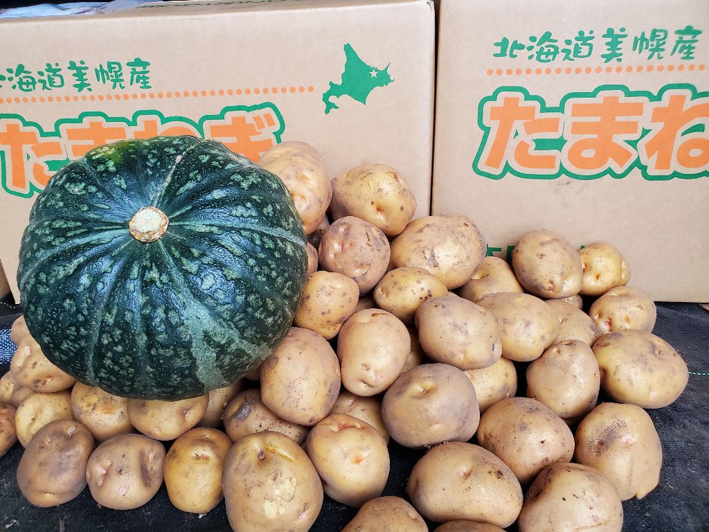 ジャガイモ・カボチャ10キロの画像