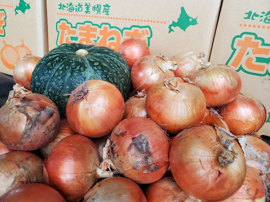タマネギ・カボチャ10キロの画像