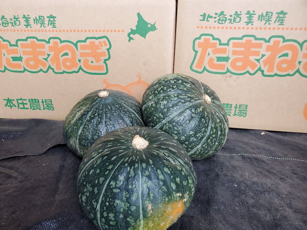カボチャ10キロの画像