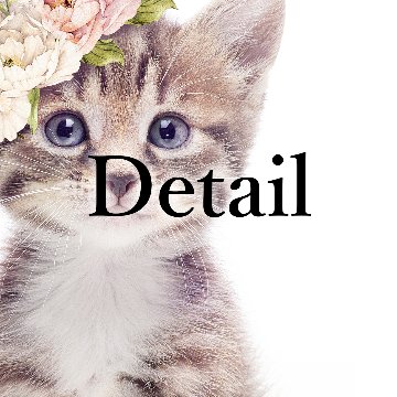 【国内配送・送料無料】フラワーキャット×可愛い×花冠と猫×キャンバスアート×アートポスター【1~3営業日で出荷】[f847]の画像