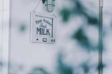THE MILK 500ml 2本入り ギフトボックス THE MILK SHOP 棚橋牧場 （クール送料込み）新鮮な牛乳をお届け。備考欄に配送希望日をご記入ください。画像