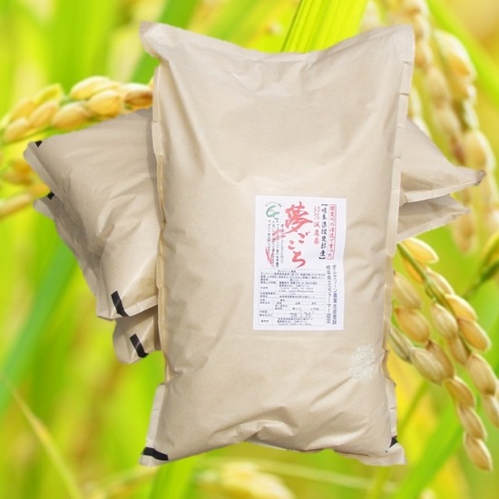 令和５年　「特別栽培米」もっちりあまうま希少米「夢ごごち」 玄米３０Kg（分つき可）　白鳥ファーム＜送料無料＞画像