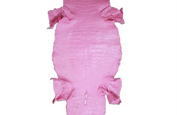 Siamensis Crocodylus Pink画像