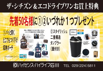 AQ4100-22L〇ザ・シチズン【国内正規品】【ノベルティ付・ｷﾞﾌﾄ包装･ｻｲｽﾞ調整無料】ソーラー・年差クオーツ 限定の画像