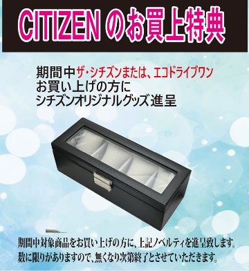 AQ4103-16W〇The CITIZEN 30周年記念 限定モデル【ベルト調整無料･国内正規品】腕時計 メンズ ソーラーの画像