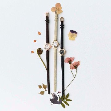 EG7082-15E　シチズン : キー【ノベルティ付・ｷﾞﾌﾄ包装･ベルト調整無料・国内正規品】腕時計 ﾚﾃﾞｨｰｽ ソーラーの画像