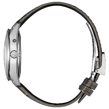 AQ4100-22A〇The CITIZEN 30周年記念 限定モデル【ベルト調整無料･国内正規品】腕時計 メンズ ソーラーの画像