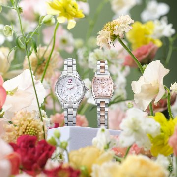 SSWA012 ｾｲｺｰﾙｷｱ【ﾉﾍﾞﾙﾃｨ付・ｷﾞﾌﾄ包装･ﾍﾞﾙﾄ調整無料･新品正規品】ﾚﾃﾞｨｰｽ腕時計 電池式クオーツ 2025広告モデルの画像