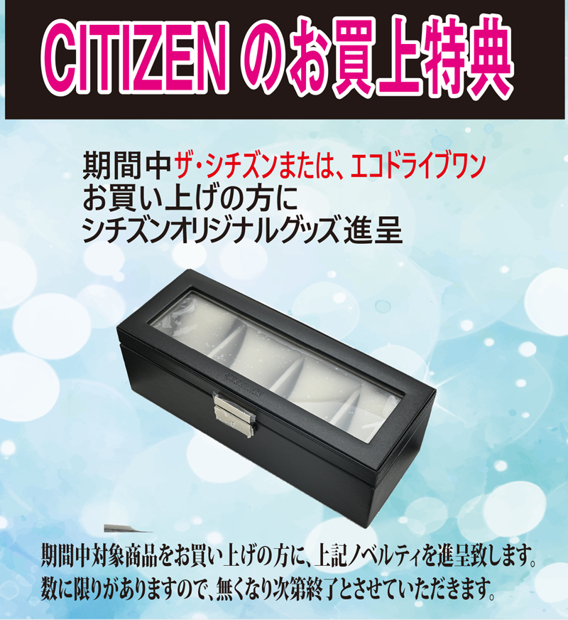 AQ4106-00A〇The CITIZEN 30周年記念 限定モデル【ベルト調整無料･国内正規品】腕時計 メンズ ソーラー　限定の画像
