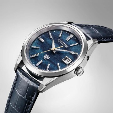 AQ4100-22L〇The CITIZEN 30周年記念 限定モデル【ベルト調整無料･国内正規品】腕時計 メンズ ソーラー限定の画像