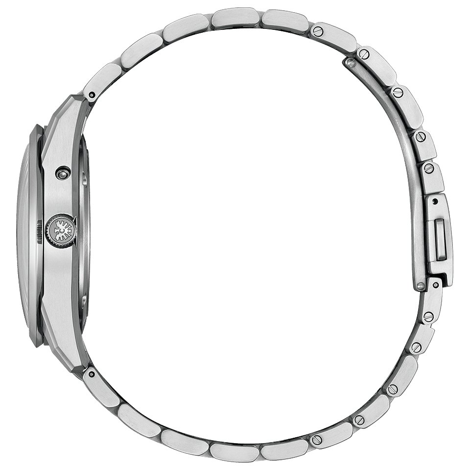 AQ4100-57C 〇The CITIZEN 30周年記念 限定モデル【ベルト調整無料･国内正規品】腕時計 メンズ ソーラー 限定の画像